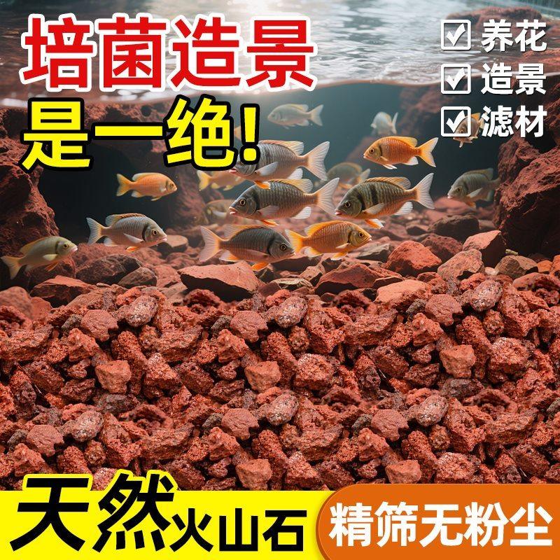 火山石鱼缸专用天然颗粒乌龟水族通用型底砂滤材生态造景养花铺面,鲜花速递/花卉仿真/绿植园艺,介质/营养土,淘宝优惠券,粉丝福利购,淘宝优惠卷