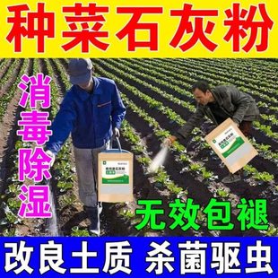 种菜专用石灰粉生石灰杀虫消毒干燥剂菜地驱蛇粉养殖土壤除湿防潮