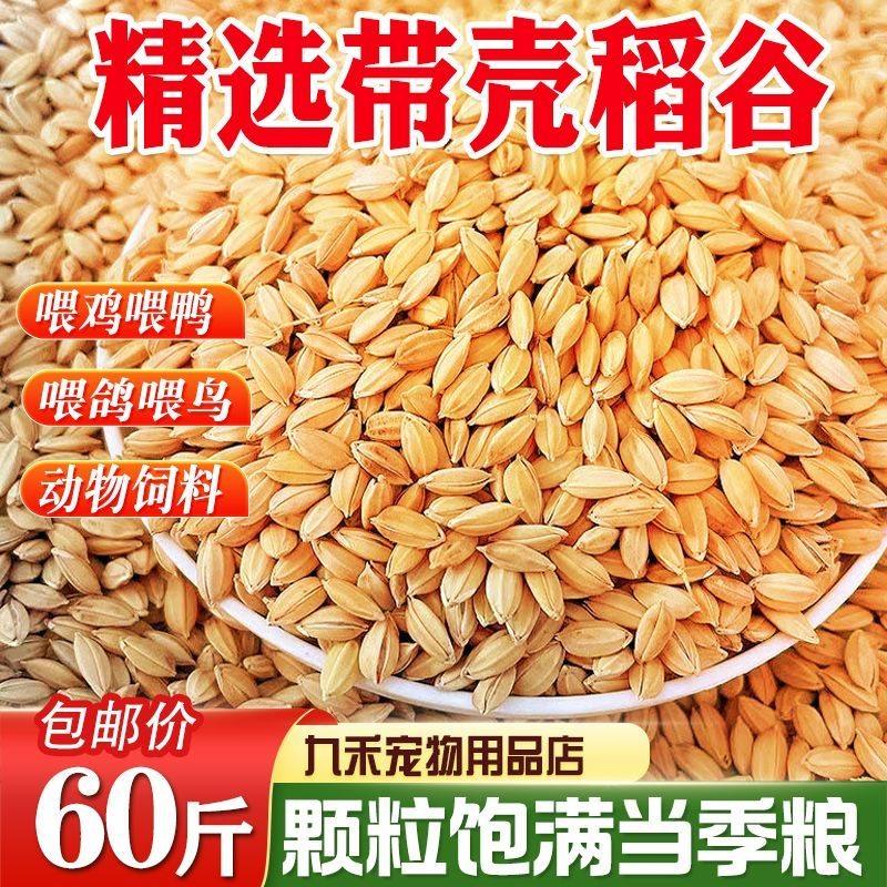 稻谷带壳谷子20斤水稻稻子100斤喂鸡鸭鹅鸽子鸟仓鼠宠物饲料,畜牧/养殖物资,畜牧/养殖饲料,淘宝优惠券,粉丝福利购,淘宝优惠卷