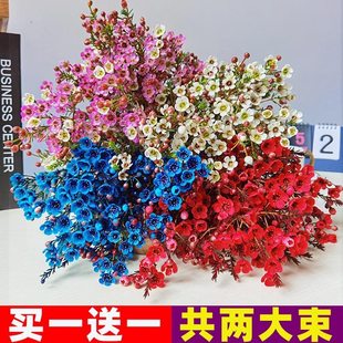 腊梅鲜花云南基地直发红色插水养耐寒鲜切花同城速递年宵花卉盆栽