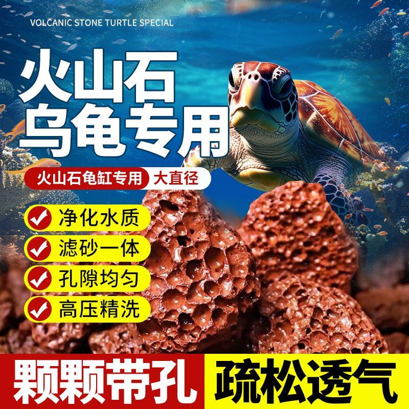 火山石乌龟专用鱼缸通用种菜养花颗粒石大块滤材造景过滤净化水质,鲜花速递/花卉仿真/绿植园艺,介质/营养土,淘宝优惠券,粉丝福利购,淘宝优惠卷