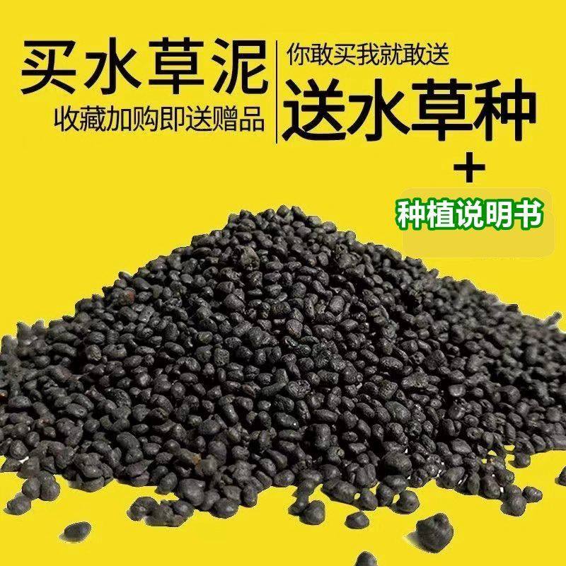 鱼缸水草种子微景观水草泥创意桌面盆栽水培植物玻璃瓶水造景对叶,宠物/宠物食品及用品,造景/装饰,淘宝优惠券,粉丝福利购,淘宝优惠卷