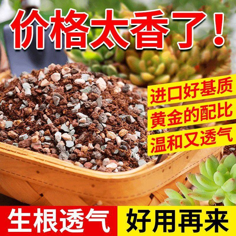 多肉专用颗粒土营养土多肉植物花土壤基质铺面扦插基质泥炭种植土,鲜花速递/花卉仿真/绿植园艺,家庭园艺肥料,淘宝优惠券,粉丝福利购,淘宝优惠卷