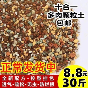 多肉颗粒土多肉土专用营养土壤种植土泥铺面石纯颗粒泥炭花土盆栽