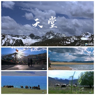 雪山草原 S1332 藏族风景 天堂 牧民高清视频素材 MV歌曲配乐成品