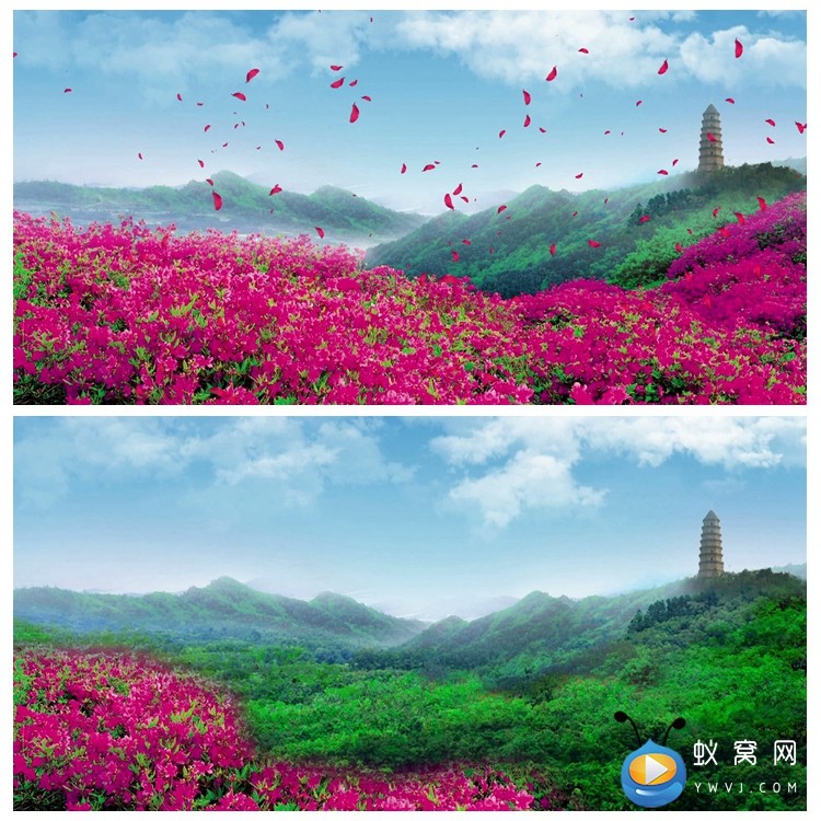 s1668 山丹丹开花红艳艳 映山红 晚会节目表演led背景视频素材