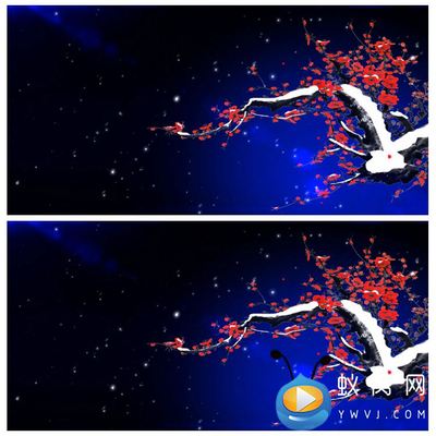 S2989 红梅赞 红岩精神 江姐 牢房渣滓洞 视频素材