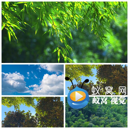 S5885《像风一样》唯美风景 实景版演出LED大屏背景视频素材