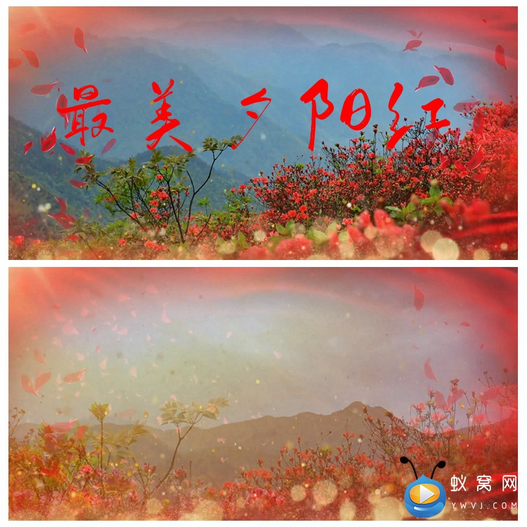 S1238最美夕阳红歌曲配乐成品MV节目演出LED大屏舞台背景视频素材