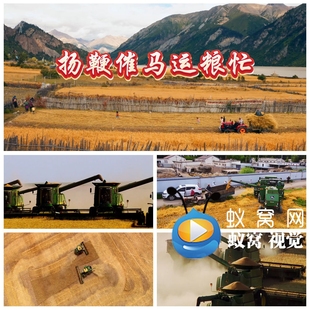 S6254《扬鞭催马运粮忙》丰收场景 歌曲MV 晚会 大屏背景视频素材