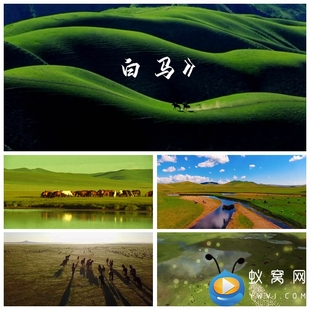 S2375舞蹈《白马》草原 演出晚会节目LED大屏背景视频素材制作