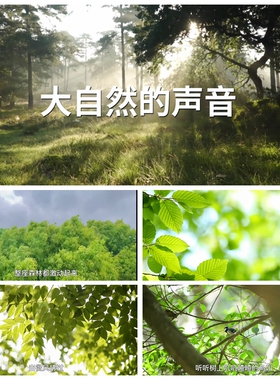 S3203《大自然的声音》 小学课文课件 演讲朗诵 LED背景视频素材