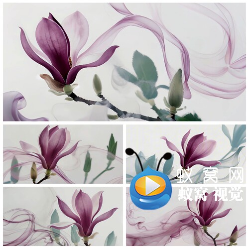 S6580《玉兰花开》 小兰花奖舞蹈舞美中国风古典古风背景视频素材