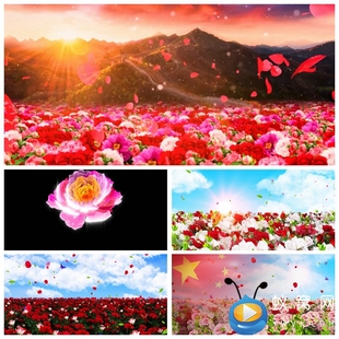 S2348 少儿舞蹈晚会节目LED大屏背景视频素材制作 花儿那样红