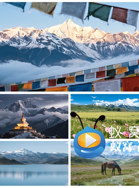 S6551《赤胆少年心》藏风美少年藏族风景 汇演晚会LED大视频素材