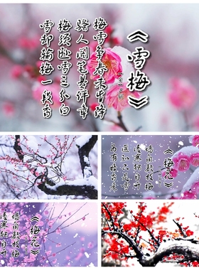 S4617国学展演《傲梅》 墨梅雪梅咏梅梅花经典古诗歌朗诵视频素材