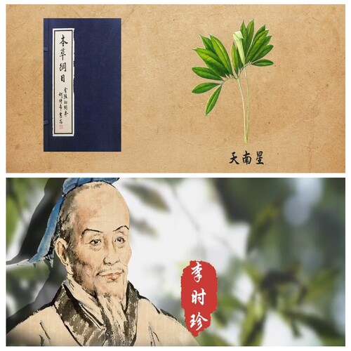 S5836 李时珍 本草纲目 天蓝星的故事  演讲朗诵 LED大屏视频素材