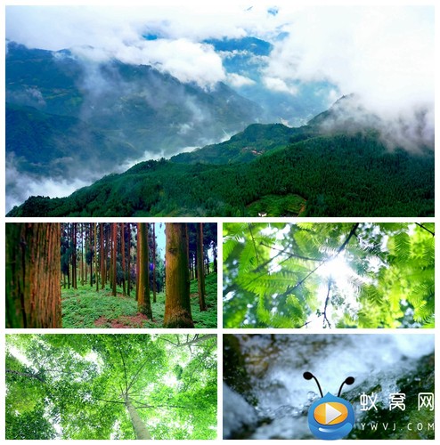 S2509 山哈小画眉 歌曲MV 节目舞台舞美 LED大屏动态背景视频素材
