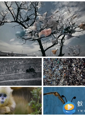 S5097《同一片蓝天》环保主题舞蹈 LED大屏 晚会 LED背景视频素材