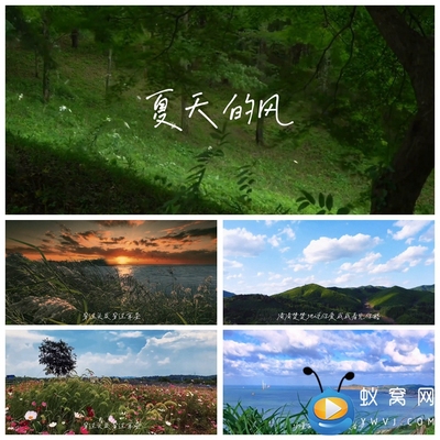S4457 夏天的风 歌曲MV 歌词字幕版 LED大屏舞美背景视频素材