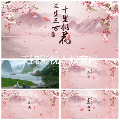 AE模板711三生三世十里桃花 唯美 中国风花瓣 桃花节片头LOGO制作