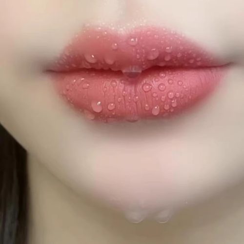 法国正品不沾杯不掉色肉桂奶茶豆沙胡萝卜色口红雨衣唇釉显白防水