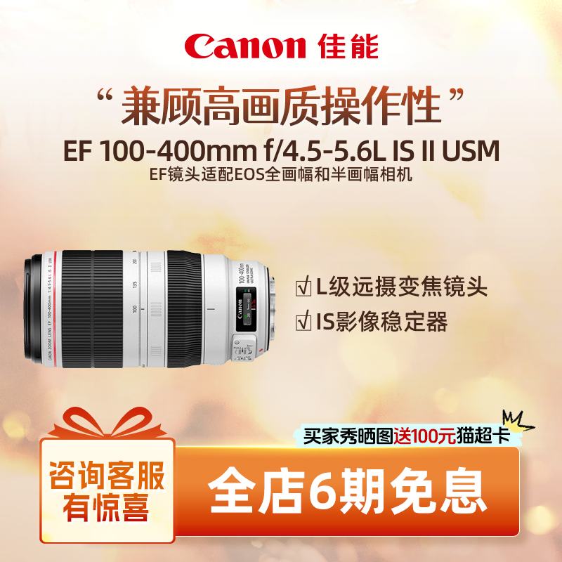 远摄单反镜头佳能100-400mm
