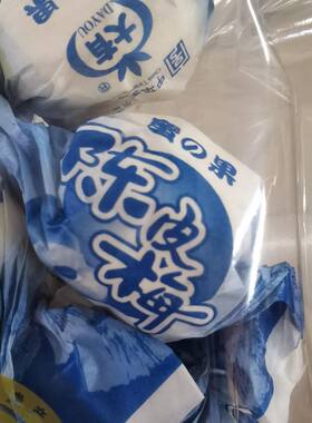 陈皮梅500g袋装 广东新会大有特产梅子年货零食小吃果干蜜饯果脯