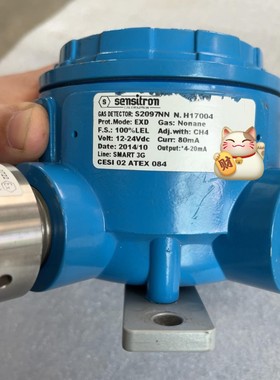 意大利Sensitron森斯特燃气探头