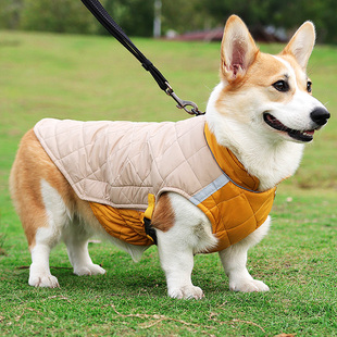 宠物狗狗衣服秋冬冬季中型犬可牵引柯基泰迪2024新款保暖马甲冬款