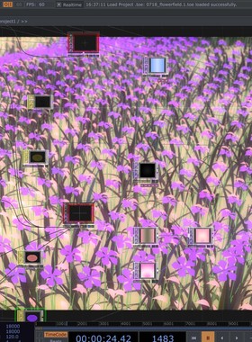 TouchDesigner源文件 花朵生长 花海生成 数字新媒体艺术