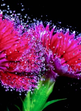 TouchDesigner源文件 视频粒子运动粒子化 数字新媒体艺术