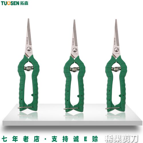 拓森果枝剪不锈钢直头希果剪摘果剪葡萄园艺剪8寸果树修枝稀果剪