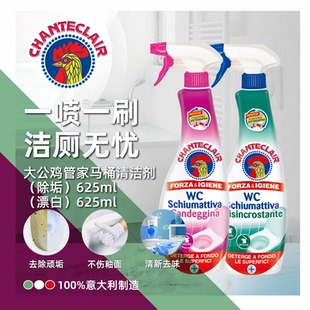 意大利进口大公鸡管家马桶洁厕剂泡沫型洁厕灵去黄除臭625ML