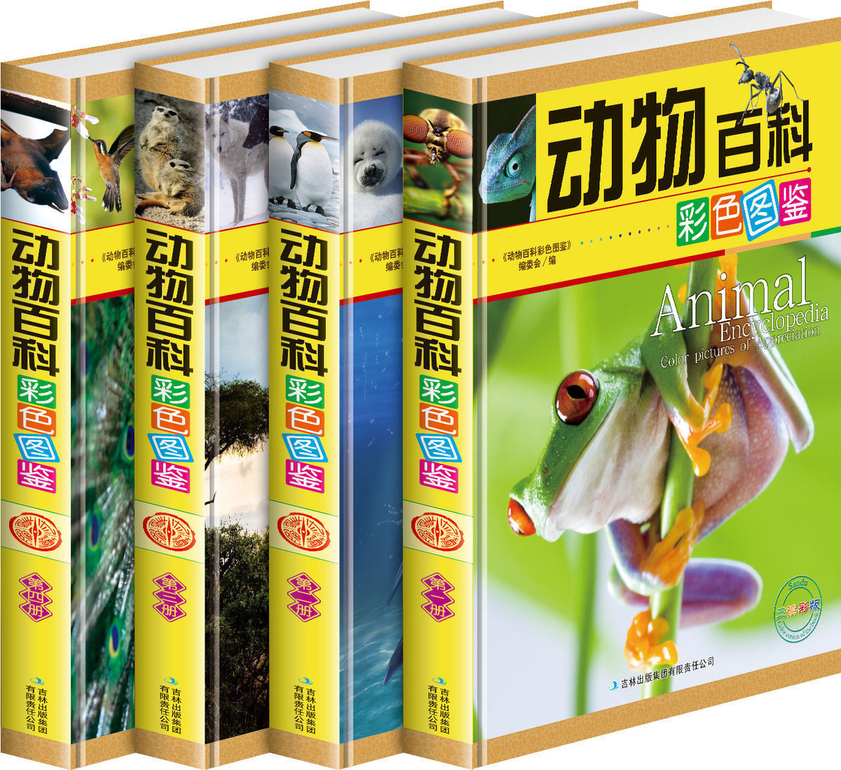动物百科全书彩色图鉴精装4册带手提袋少儿童动物百科全书青少年小学生课外读物两栖爬行海洋哺乳昆虫恐龙等未解之谜科学科普书籍