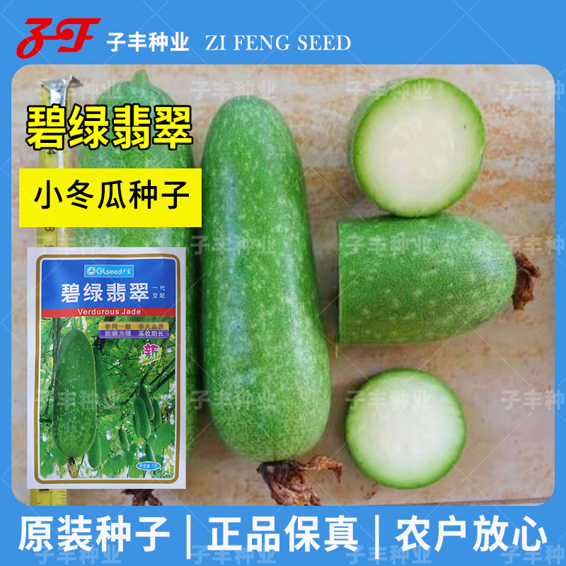 广良碧绿翡翠水果型小冬瓜种子