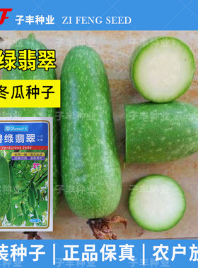 广良碧绿翡翠小冬瓜种子