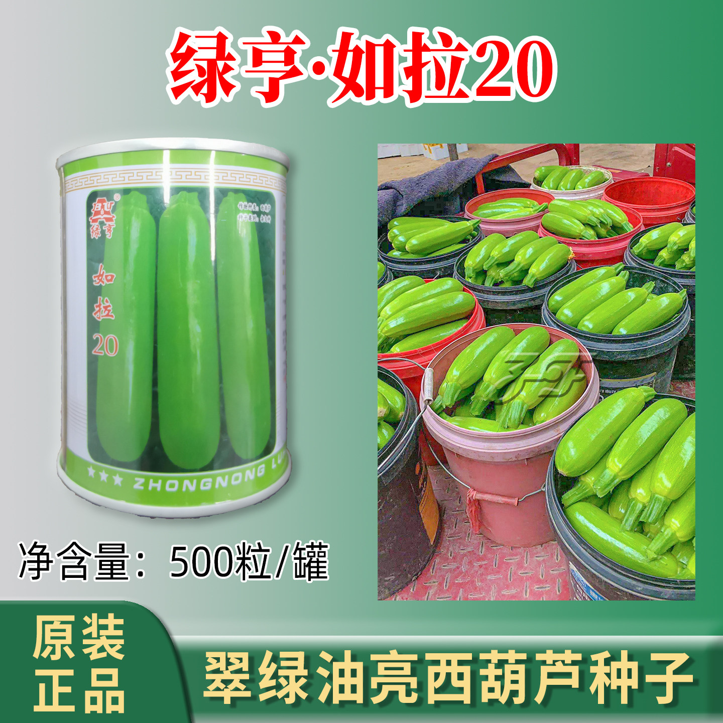 翠绿油亮结瓜多耐寒西葫芦种子