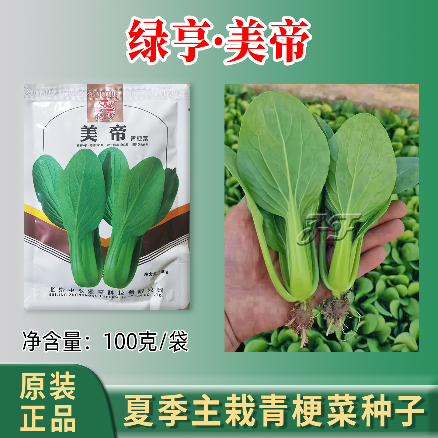 中农绿亨夏秋季耐热型青梗菜种子图片