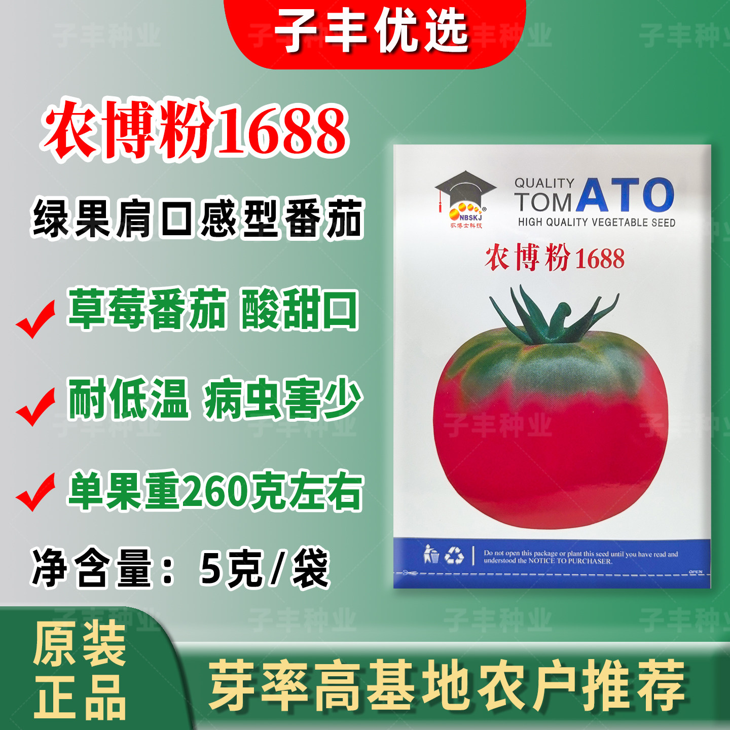 水果番茄种子农博士1688春秋冬东北绿腚铁皮粉果酸甜草莓西红柿籽