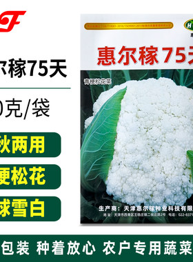 惠尔稼75天绿梗松花菜种子全松