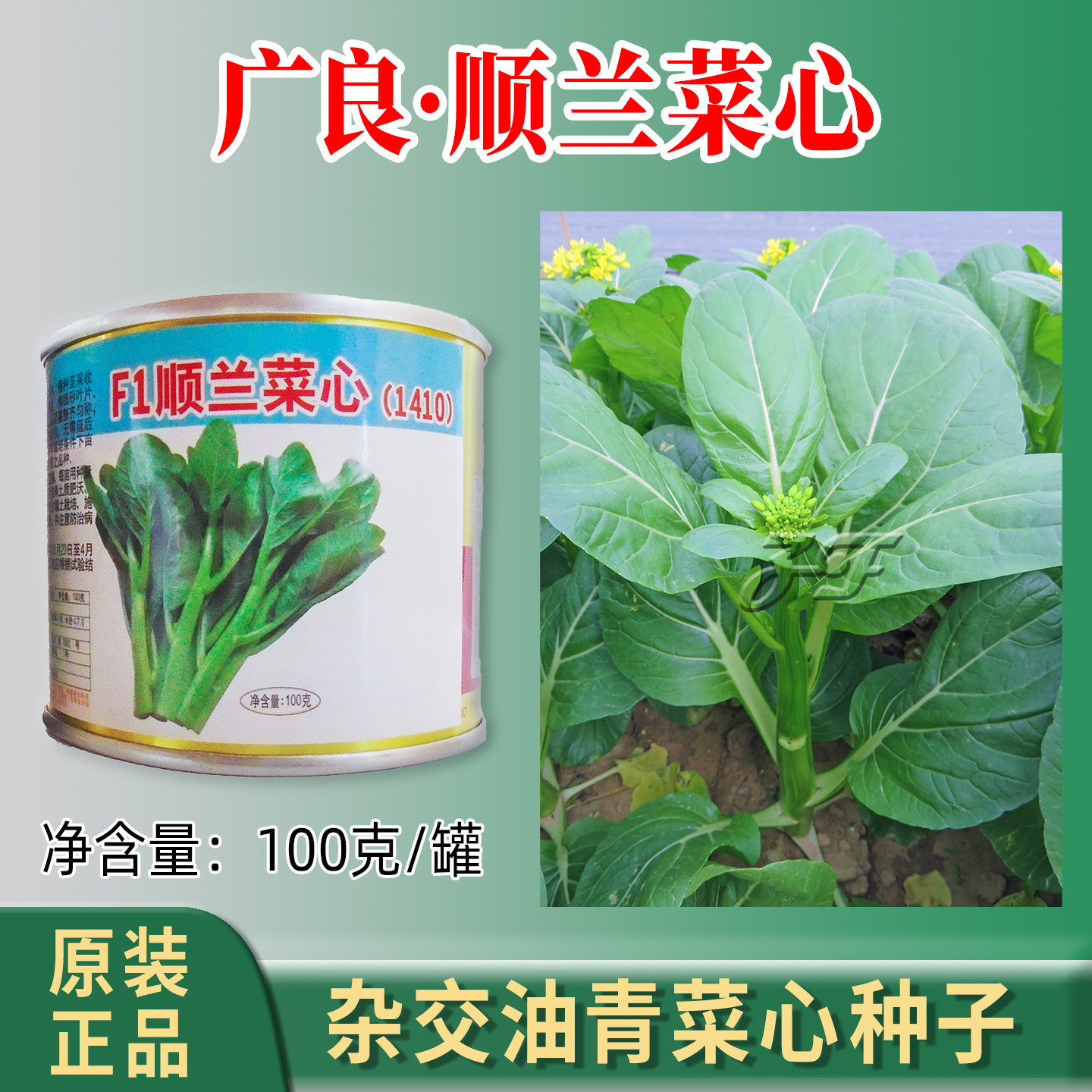 春季秋季早中熟杂交菜心种子油青圆叶顺兰甜菜心种籽绿菜苔蔬菜籽