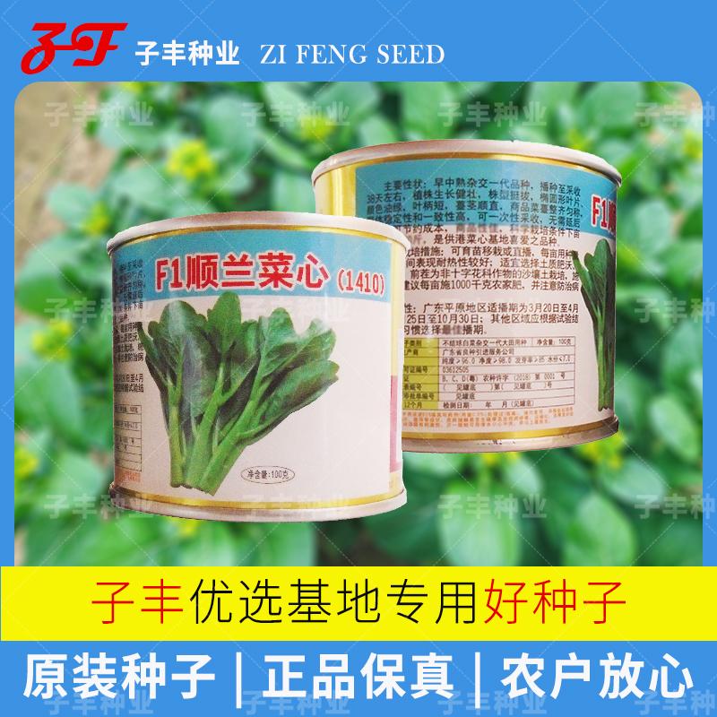 春季秋季圆叶杂交油青甜菜心种子