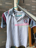 成都市双流区西航港小学纯棉短裤 t恤校服班服印图字 夏纯棉polo衫