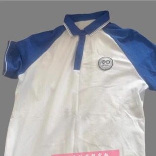 北京十一学校顺义学校校服同款短袖t恤polo衫上衣白拼宝蓝色定制
