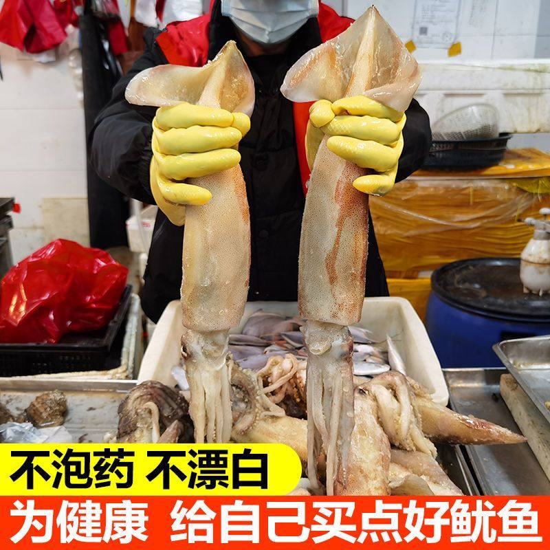鱿鱼新鲜鲜活水产超大鱿鱼须海鲜冷冻八爪鱼海兔乌贼尤鱼烧烤包邮