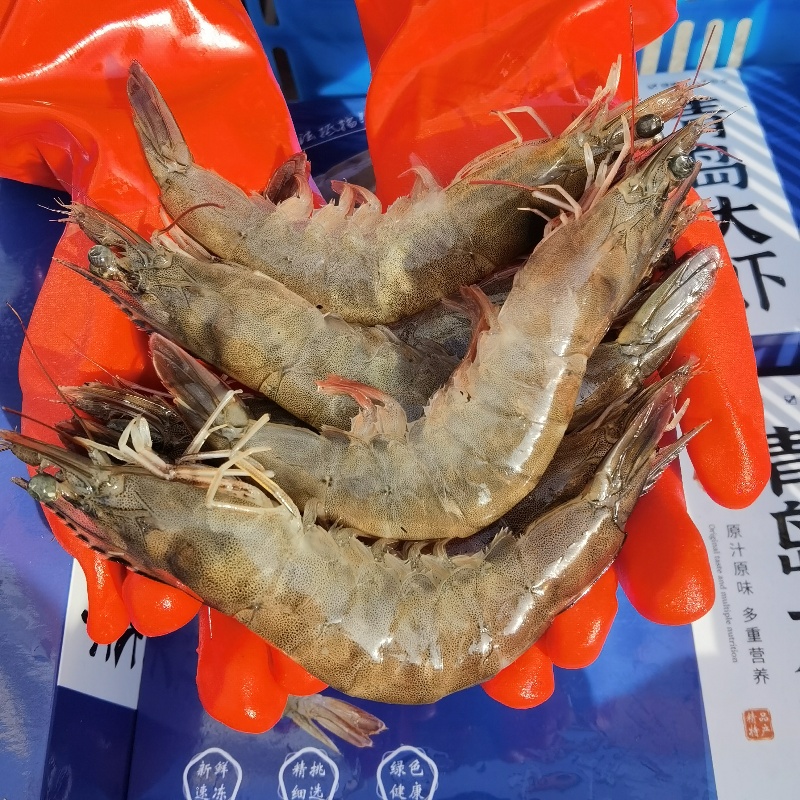 中个 40/50规格 海水大虾 13-16厘米 3斤 约45/60只左右 速冻对虾