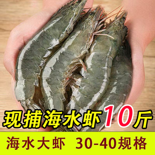 30-40规格中大号 海水大虾 鲜活海鲜水产基围虾海虾鲜虾青虾
