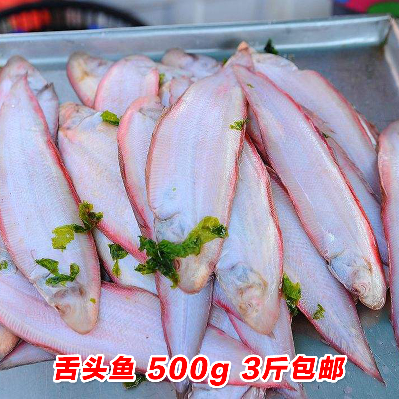 新鲜舌头鱼海鱼深海鱼生鲜鱼鲜活海鲜水产冷冻小海杂鱼