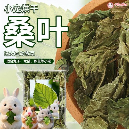 小宠新鲜烘干桑叶降火消炎草